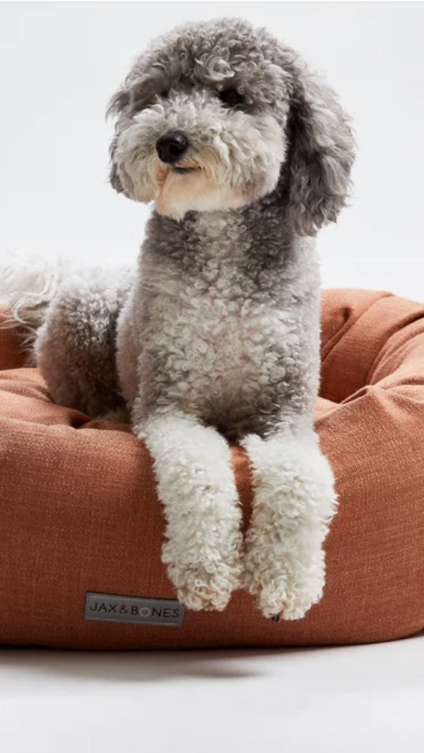 A grey and white poodle mix resting front paws over the bolster of a terracotta bed