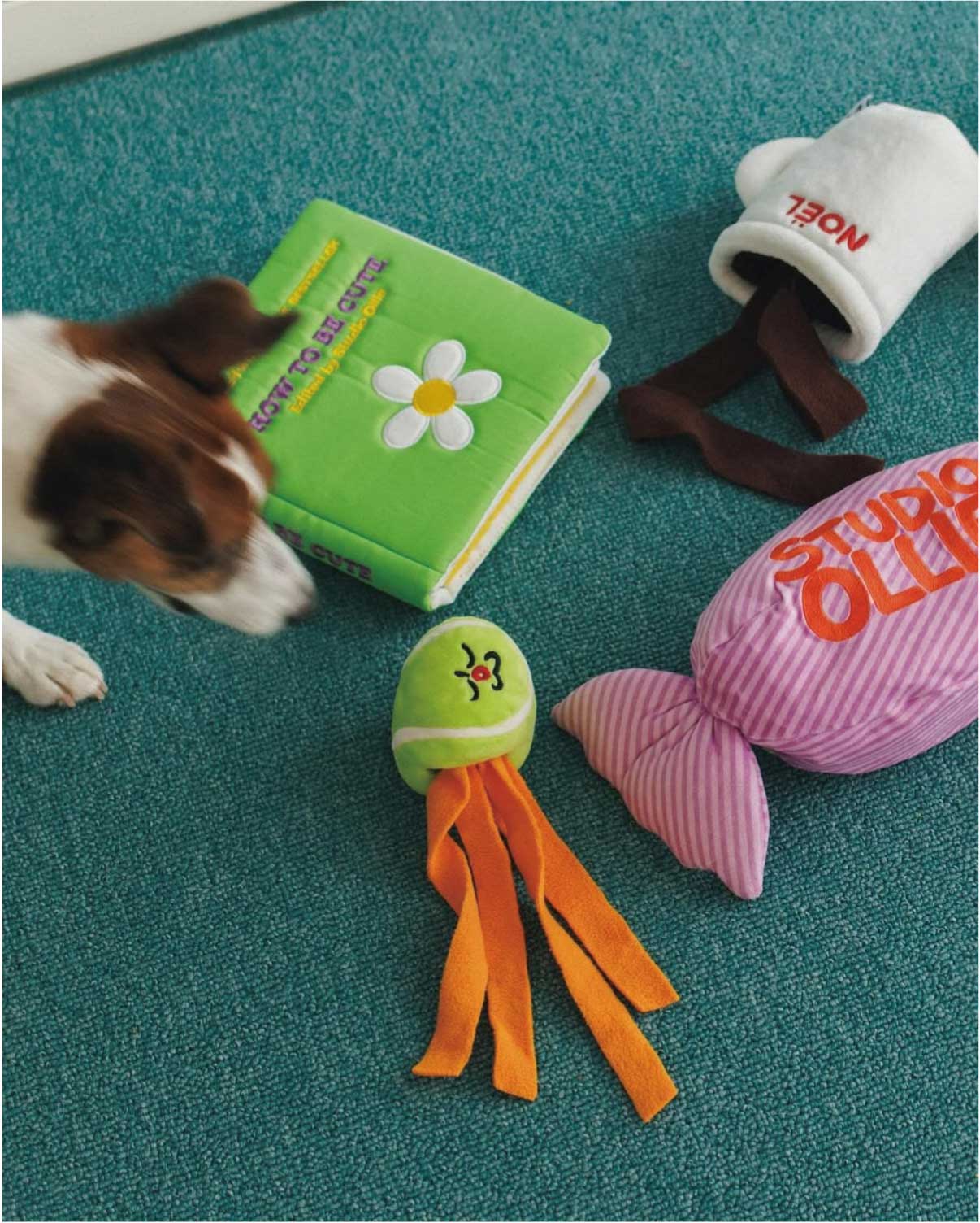DOG TOYS
